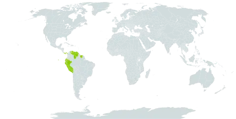 Acineta superba world distribution map, present in Ecuador, Panama, Peru, Suriname, and Venezuela (Bolivarian Republic of)