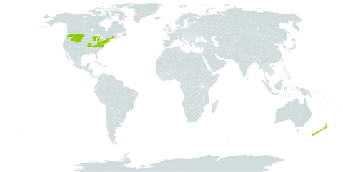 Acinos world distribution map, present in New Zealand and United States of America