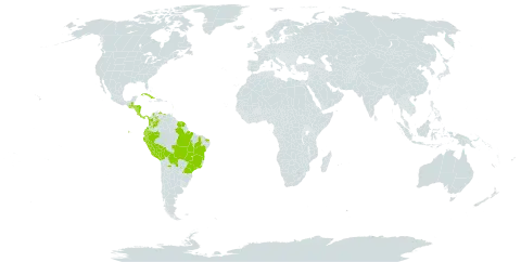 Acmella brachyglossa world distribution map, present in Bolivia (Plurinational State of), Brazil, Colombia, Costa Rica, Cuba, Ecuador, Guatemala, French Guiana, Honduras, Martinique, Nicaragua, Panama, Peru, Paraguay, Suriname, and Venezuela (Bolivarian Republic of)