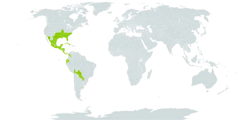 Acmella repens world distribution map, present in Bolivia (Plurinational State of), Colombia, Costa Rica, Cuba, Ecuador, Guatemala, Honduras, Mexico, Nicaragua, Panama, Paraguay, El Salvador, and United States of America