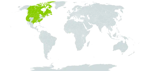 Acmispon americanus world distribution map, present in Canada, Ghana, and United States of America