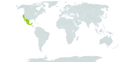 Acmispon argophyllus world distribution map, present in Mexico and United States of America