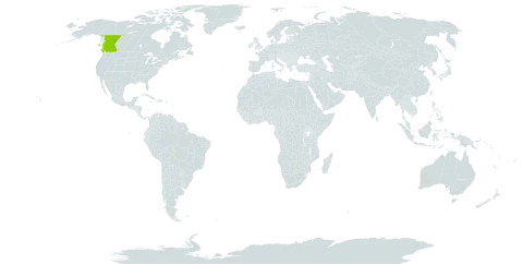 Acmispon decumbens var. decumbens world distribution map, present in Canada