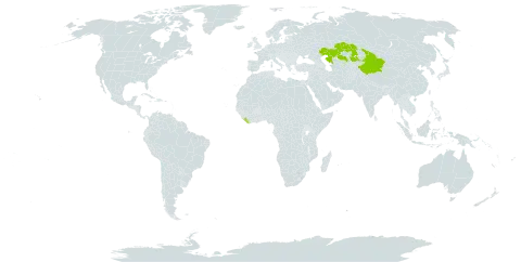 Aconitum apetalum world distribution map, present in China, Kazakhstan, and Liberia