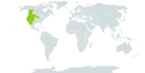 Aconitum columbianum world distribution map, present in Canada, Mexico, and United States of America