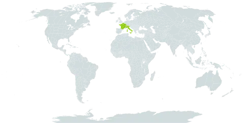 Aconitum degenii subsp. valesiacum world distribution map, present in Switzerland, France, and Italy