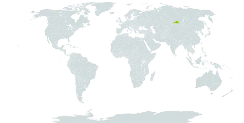 Aconitum krasnoboroffii world distribution map, present in Russian Federation