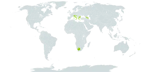 Aconitum nasutum world distribution map, present in Armenia, Azerbaijan, Bulgaria, Georgia, Greece, Croatia, Italy, Serbia, Slovenia, and South Africa