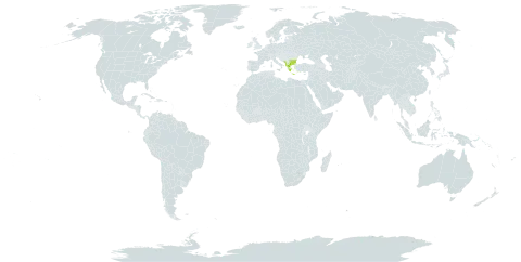 Aconitum pentheri world distribution map, present in Albania, Bulgaria, Greece, North Macedonia, Montenegro, and Serbia