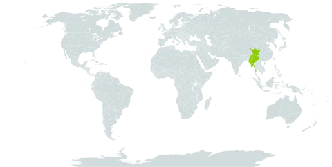 Aconitum pulchellum world distribution map, present in China, Myanmar, and Nepal