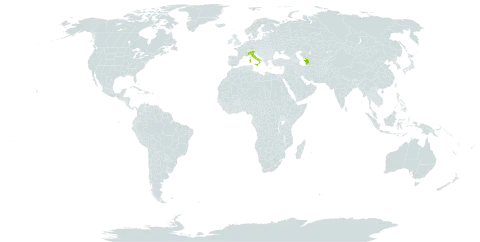 Aconitum vitosanum world distribution map, present in Italy and Turkmenistan