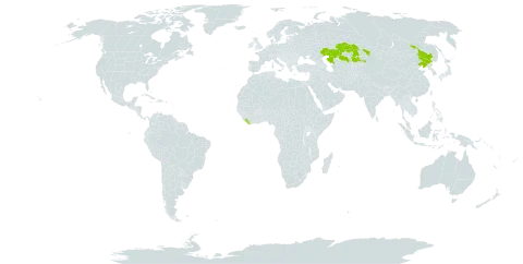 Aconitum volubile world distribution map, present in China, Kazakhstan, and Liberia