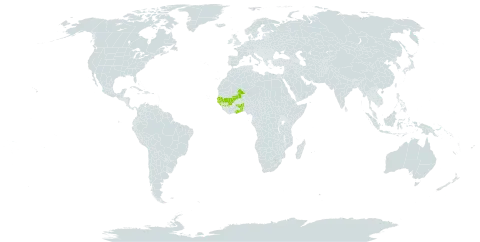 Acridocarpus spectabilis world distribution map, present in Benin, Ghana, Guinea, Gambia, Guinea-Bissau, Mali, Senegal, and Togo