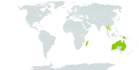 Acrostichum speciosum world distribution map, present in Australia, China, Comoros, Fiji, Micronesia (Federated States of), Indonesia, India, Sri Lanka, Madagascar, Mauritius, Mayotte, Philippines, Palau, Papua New Guinea, Singapore, Solomon Islands, Seychelles, Thailand, United States of America, and Viet Nam