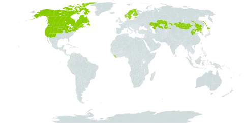 Actaea rubra world distribution map, present in Canada, China, Estonia, Finland, Japan, Kazakhstan, Liberia, Mongolia, Norway, Korea (Democratic People's Republic of), Russian Federation, Sweden, and United States of America