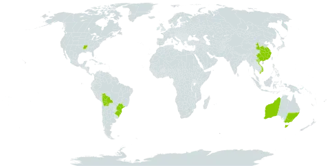 Actinidia chinensis world distribution map, present in Australia, Bolivia (Plurinational State of), Brazil, China, United States of America, and Viet Nam