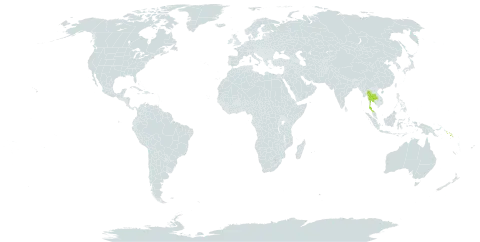 Actinorhytis world distribution map, present in Solomon Islands and Thailand