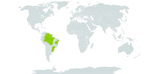 Actinostachys subtrijuga world distribution map, present in Brazil, Colombia, French Guiana, Guyana, Suriname, Trinidad and Tobago, and Venezuela (Bolivarian Republic of)