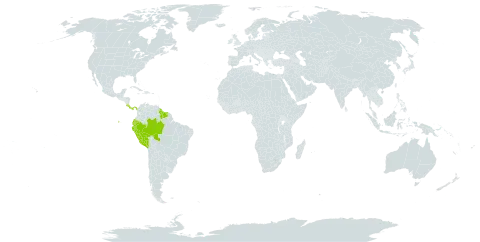 Adelonema picturatum world distribution map, present in Brazil, Costa Rica, Ecuador, Guyana, Panama, Peru, and Suriname