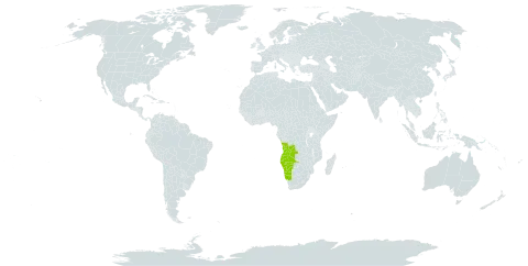 Adenium boehmianum world distribution map, present in Angola and Namibia