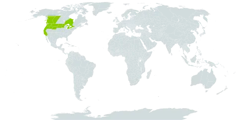 Adenocaulon bicolor world distribution map, present in Canada and United States of America