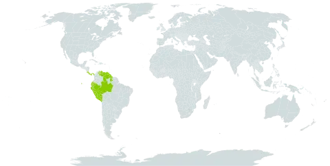 Adenophaedra grandifolia world distribution map, present in Brazil, Costa Rica, Ecuador, Guyana, Panama, Peru, and Venezuela (Bolivarian Republic of)