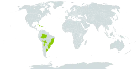 Adenostemma brasilianum world distribution map, present in Argentina, Bolivia (Plurinational State of), Brazil, Cuba, Dominican Republic, Haiti, Jamaica, Paraguay, and Uruguay