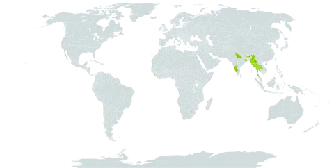 Adenostemma lavenia var. angustifolium world distribution map, present in India, Sri Lanka, Myanmar, and Thailand