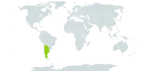 Adesmia aueri world distribution map, present in Argentina