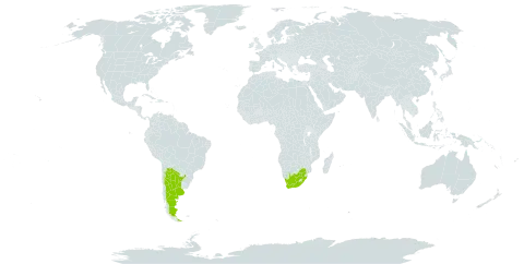 Adesmia retrofracta world distribution map, present in Argentina and South Africa