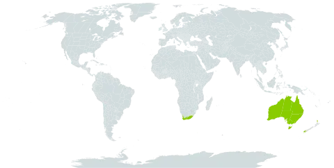 Adiantum aethiopicum world distribution map, present in Australia, New Zealand, and South Africa