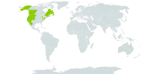 Adiantum aleuticum world distribution map, present in Canada, Mexico, and United States of America