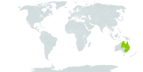 Adiantum atroviride world distribution map, present in Australia