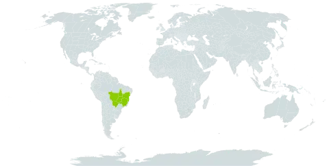 Adiantum calcareum world distribution map, present in Brazil