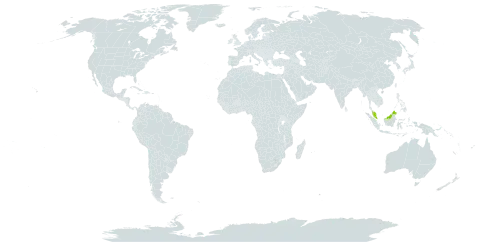 Adiantum decipiens world distribution map, present in Malaysia