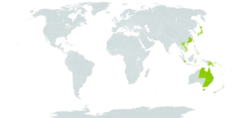 Adiantum diaphanum world distribution map, present in Australia, China, Indonesia, Japan, Lao People's Democratic Republic, New Zealand, Philippines, Papua New Guinea, Solomon Islands, Tonga, Taiwan, Province of China, Viet Nam, and Samoa