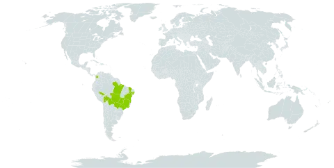 Adiantum diogoanum world distribution map, present in Bolivia (Plurinational State of), Brazil, and Colombia