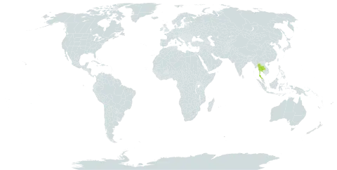 Adiantum membranifolium world distribution map, present in Thailand