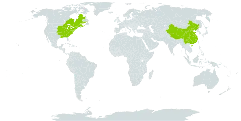 Adiantum pedatum world distribution map, present in Canada, China, and United States of America