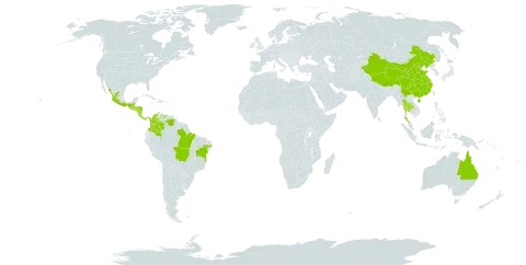 Adiantum philippense world distribution map, present in Australia, Brazil, China, Colombia, Costa Rica, Guatemala, Honduras, Mexico, Nicaragua, Panama, El Salvador, Thailand, United States of America, and Venezuela (Bolivarian Republic of)