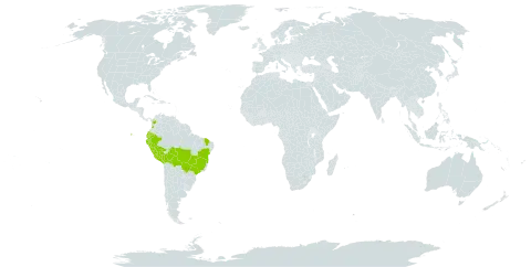 Adiantum platyphyllum world distribution map, present in Bolivia (Plurinational State of), Brazil, Colombia, Ecuador, Peru, and Paraguay