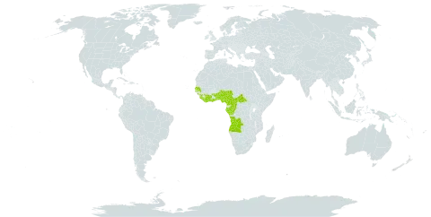 Adiantum vogelii world distribution map, present in Angola, Benin, Central African Republic, Côte d'Ivoire, Cameroon, Congo, Gabon, Ghana, Guinea, Equatorial Guinea, Liberia, Nigeria, Senegal, Sierra Leone, Togo, Tanzania, United Republic of, and Uganda