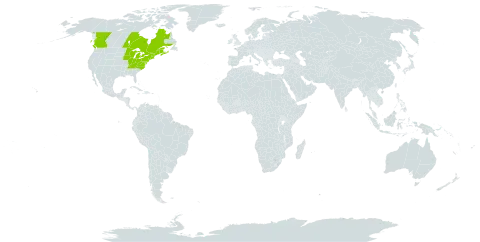 Adlumia fungosa world distribution map, present in Canada and United States of America