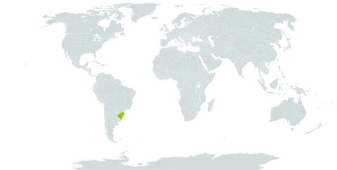 Aechmea kertesziae world distribution map, present in Brazil