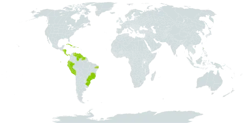 Aechmea nudicaulis var. nudicaulis world distribution map, present in Brazil, Costa Rica, Cuba, Dominica, Ecuador, Guyana, Honduras, Haiti, Nicaragua, Panama, Peru, Puerto Rico, Suriname, and Venezuela (Bolivarian Republic of)