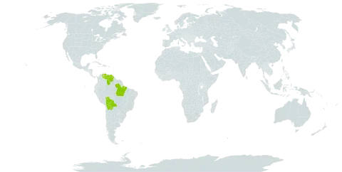 Aegiphila quinduensis world distribution map, present in Bolivia (Plurinational State of), Brazil, and Venezuela (Bolivarian Republic of)