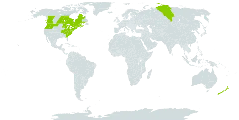 Aegopodium podagraria world distribution map, present in Canada, France, New Zealand, Russian Federation, and United States of America