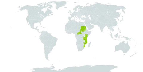 Aeollanthus repens world distribution map, present in Burkina Faso, Central African Republic, Kenya, Mozambique, Rwanda, Sudan, Tanzania, United Republic of, and Uganda