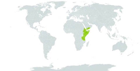 Aeonium leucoblepharum world distribution map, present in Eritrea, Ethiopia, Kenya, Somalia, Tanzania, United Republic of, Uganda, and Yemen