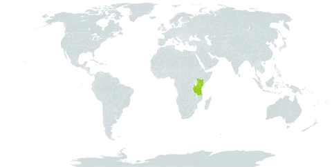 Aerangis confusa world distribution map, present in Kenya and Tanzania, United Republic of